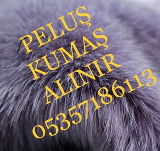 peluş kumaş, parti peluş kumaş, peluş kumaş alan particiler, peluş kumaş alım satımı, parti malı peluş kumaş alınır, peluş kumaş alan firmalar, peluş kumaş alım ilanları, miflon kumaş nedir, pelyuş kumaş özellikleri, peluş kumaş nereye satabilirim, peluş kumaş nasıl yıkanır, peluş kumaş nasıl ütülenir, kimler peluş kumaş alır, peluş kumaş fiyatları, peluş mont, peluş bebek, peluş ayı, peloş kumaş alan kumaşçılar, ithal peluş alım satımı, stok fazlası peluş kumaş alanlar, stok peluş kumaş alınır, merter peluş kumaş alınır, istanbul peluş kumaşçılar, peluş kumaş nerede satılır, peluş kumaş fiyatları , peluş kumaş alım satımı ; 05357186113, peluş kumaş alınır